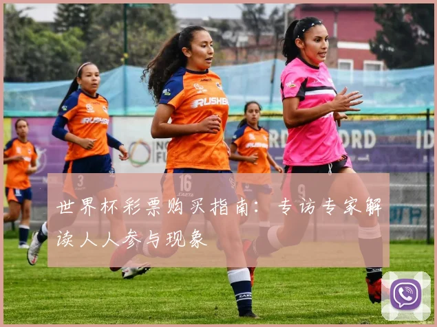 世界杯彩票购买指南：专访专家解读人人参与现象