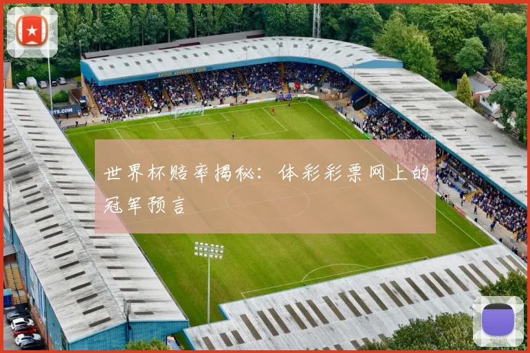 世界杯赔率揭秘：体彩彩票网上的冠军预言