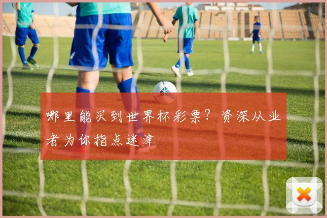 哪里能买到世界杯彩票?资深从业者为你指点迷津