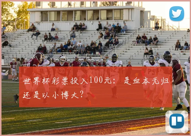 世界杯彩票投入100元:是血本无归还是以小博大?