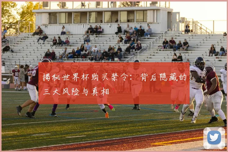 揭秘世界杯购买禁令：背后隐藏的三大风险与真相