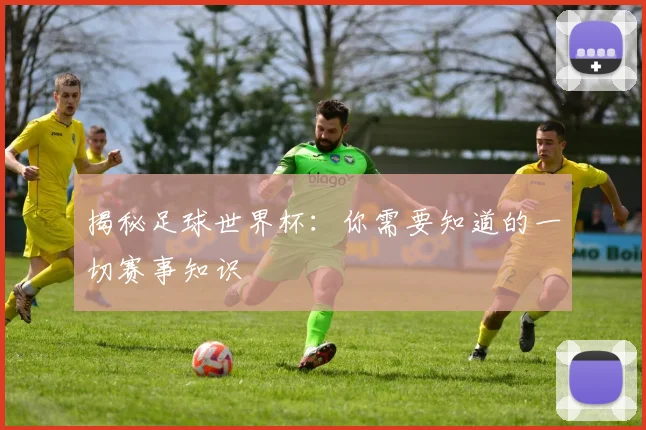揭秘足球世界杯:你需要知道的一切赛事知识