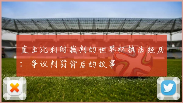 直击比利时裁判的世界杯执法经历:争议判罚背后的故事