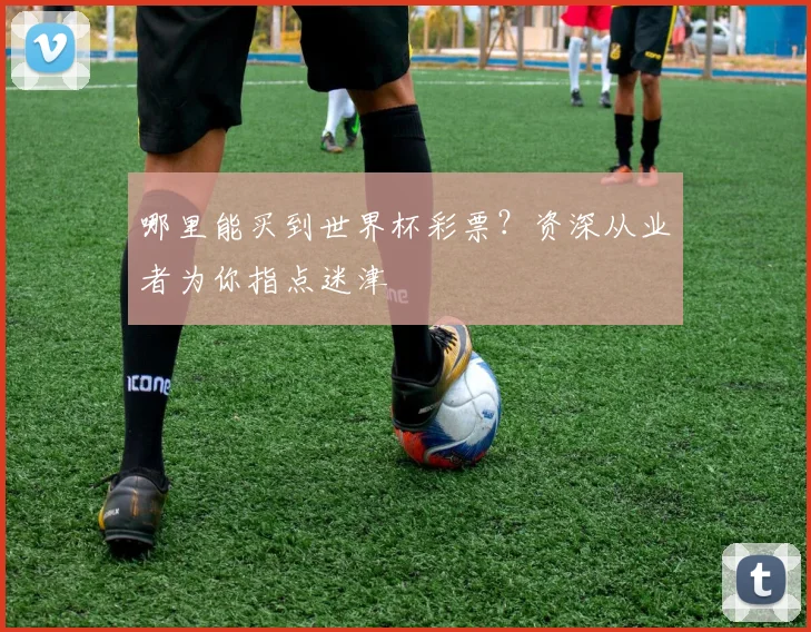 哪里能买到世界杯彩票？资深从业者为你指点迷津