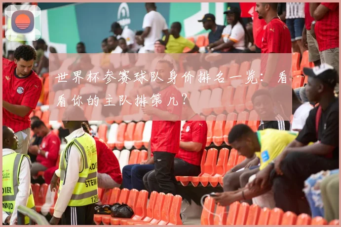 世界杯参赛球队身价排名一览：看看你的主队排第几？