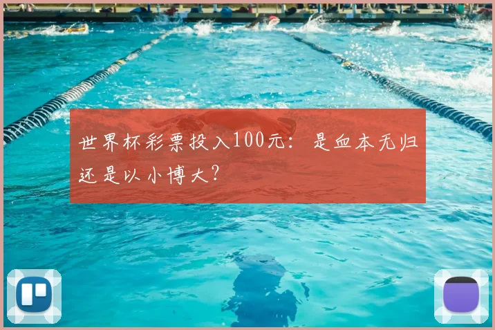 世界杯彩票投入100元:是血本无归还是以小博大?