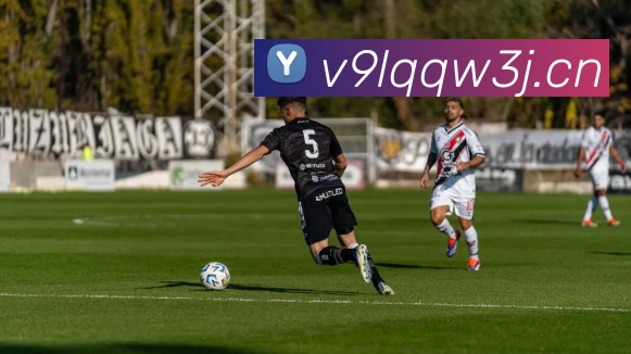 九游网页官方网站平台生态图