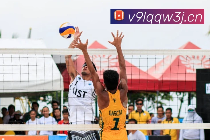 九游网页官方网站APP 封面图